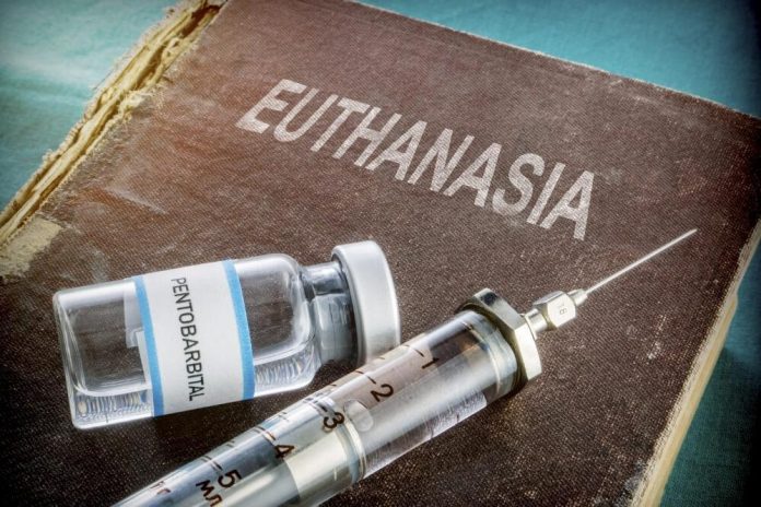 Euthanasia: Dilema Antara Hak Hidup dan Hak Mati (2024)