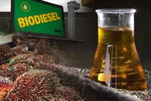 Biodiesel B100 Pertamina